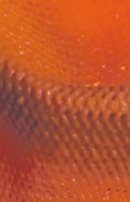 lampara_colgante_luisa_coloNA_mled